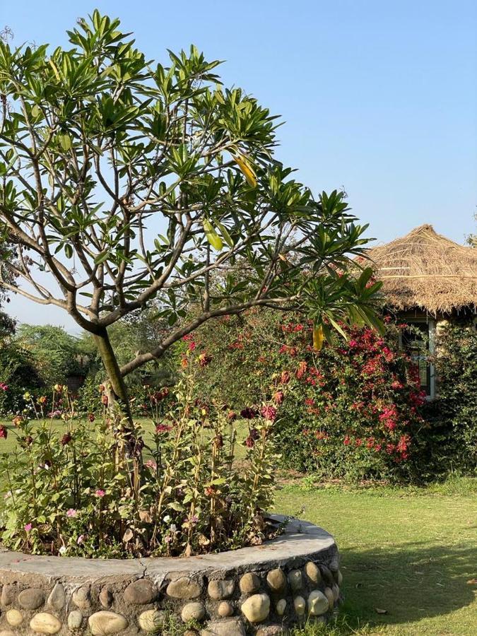 Hotel Sarai Bharatgarh Nohan 외부 사진